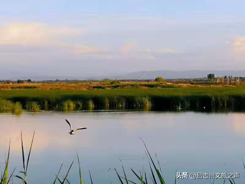 呼图壁旅游的地方,一起去村游怎么拍