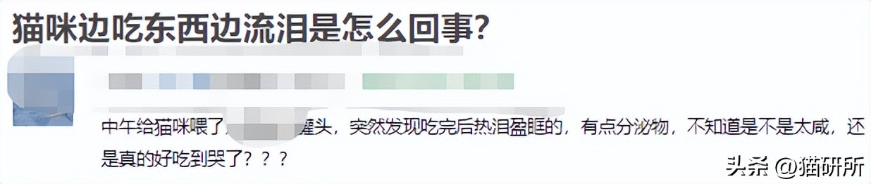 猫咪吃饭眼泪汪汪,猫咪吃饭流眼泪是为什么