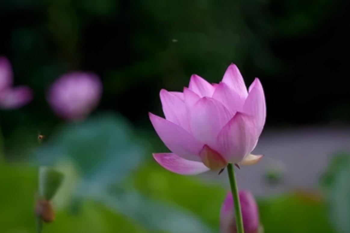 如果你感觉生活很累到底该怎么做,如果你感觉生活很累的时候英文