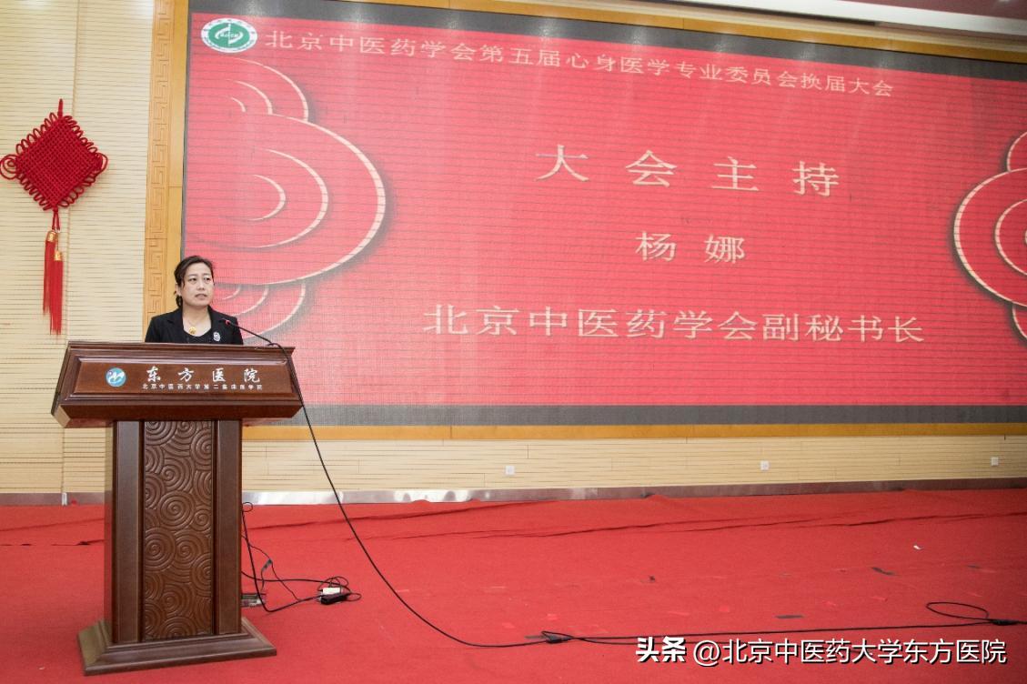 2023年心身医学绿色治疗学术会议顺利召开