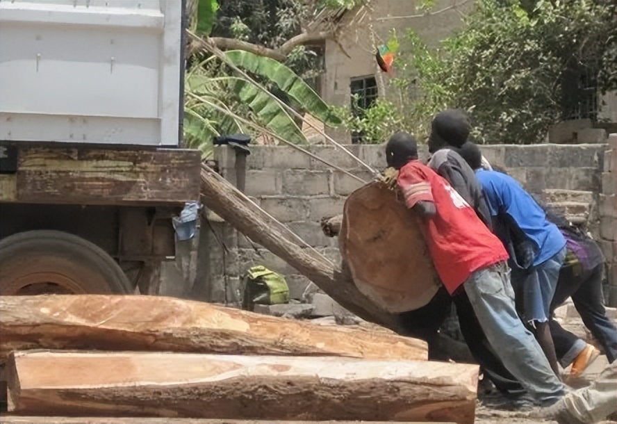 2009年，福建小伙进入非洲原始丛林里创业，第一年就赚了6000万