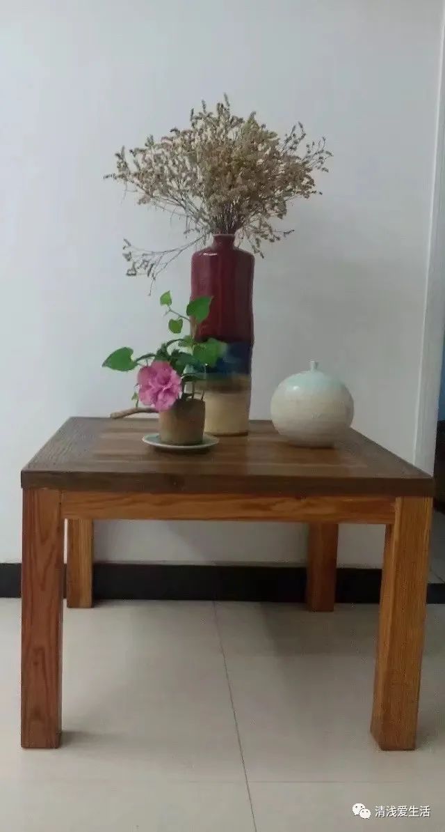 耐高温耐寒的一年四季开花的花卉,耐高温开花多的花卉