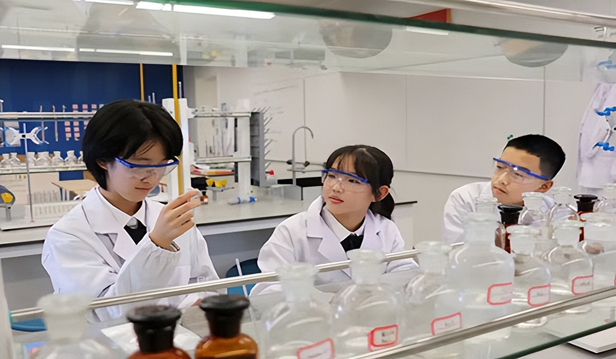 金华新东方双语学校怎么样,金华新东方双语学校