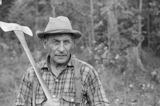 动物报复人类事例的真实故事,动物复仇的真实事件