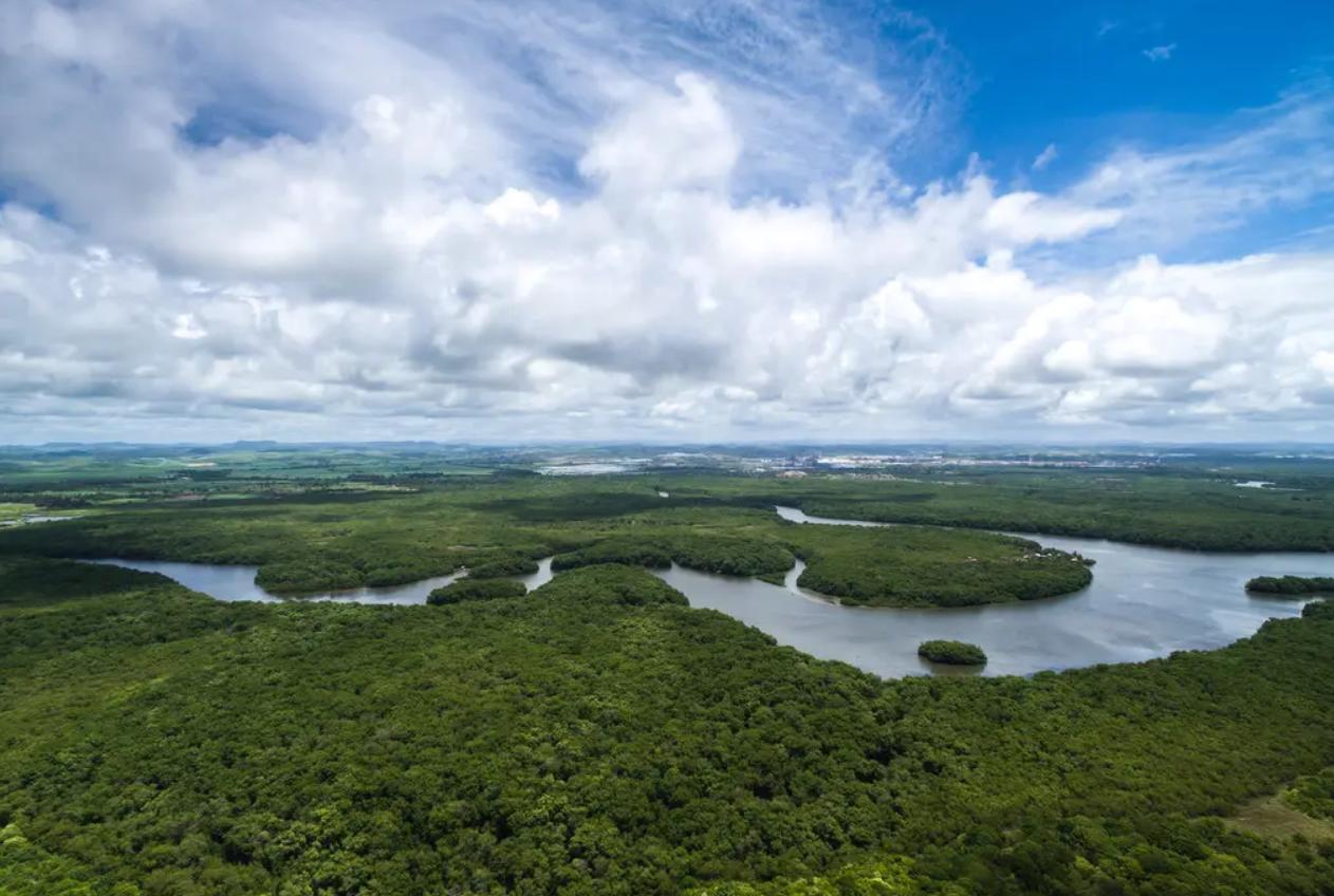 巴西球员被食人鱼吃剩骨,巴西球员惨遭食人鱼