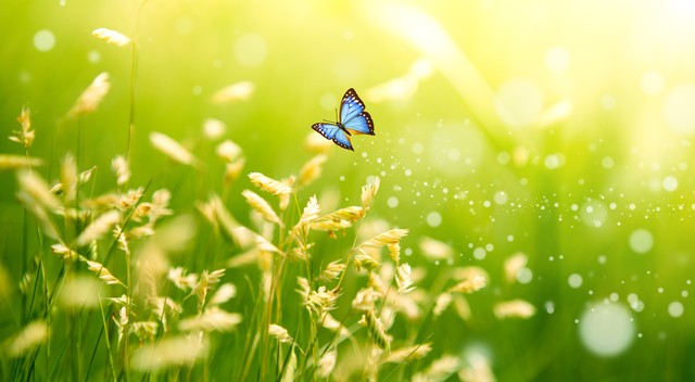 2021-2022七年级上册语文期末试卷,2021-2022期末语文考试七年级上册