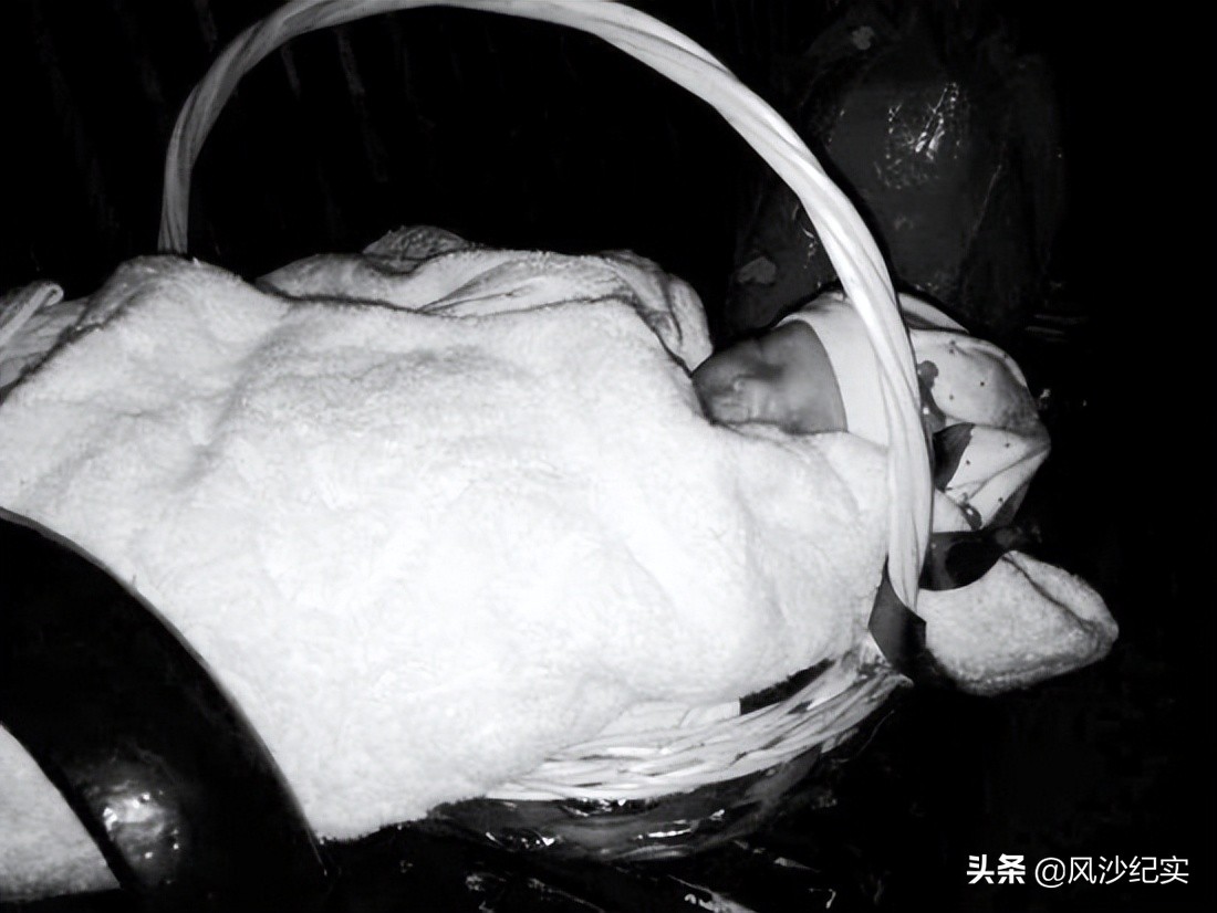 欧洲女孩长得像中国人来中国寻亲,外国女孩中国寻亲成功