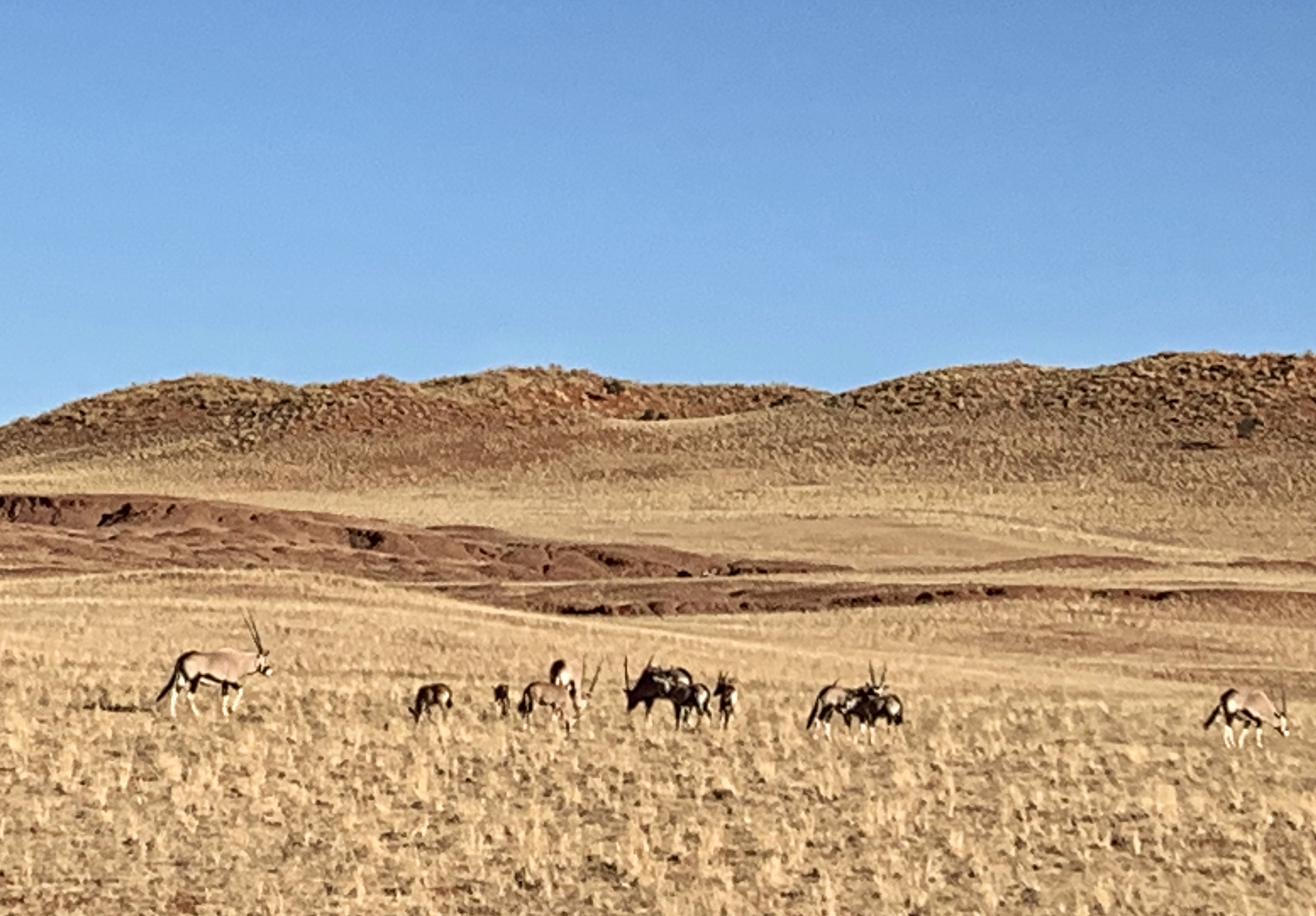 绾崇背姣斾簹绾㈣壊娌欐紶,绾崇背姣斾簹娌欐紶涔嬫梾