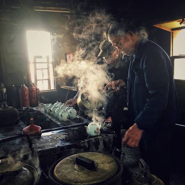 寻茶记文化,寻茶记新茶