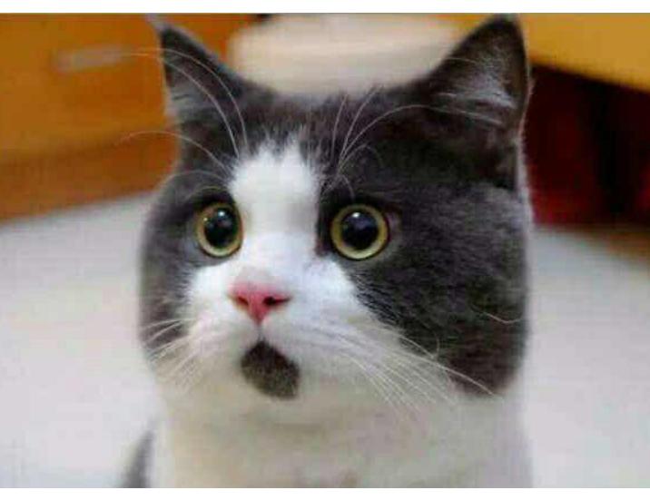 百元之间好酱酒,百元以下有好的酱酒吗