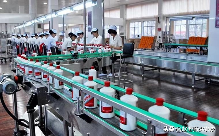 茅台酒厂如何防止员工偷喝茅台酒,茅台酒厂工人能喝多少酒