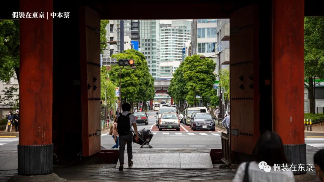 365张照片回顾,365张相片