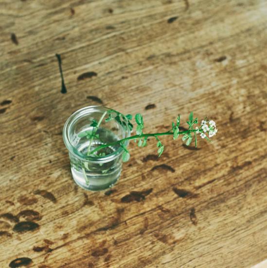 日本50岁以上家庭主妇打扮精致,日本家庭主妇的每日记账方法