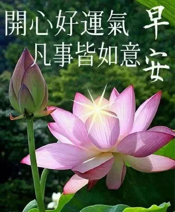 周日早上好温馨问候语图片,周末最暖心的早上好问候语