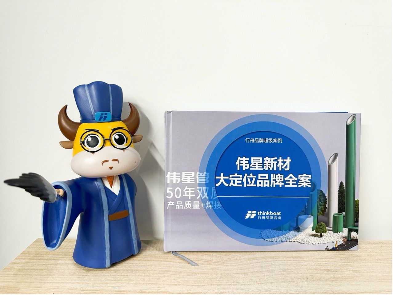 专业品牌策划公司行舟咨询：家居行业领跑者伟星管业全案策划成果