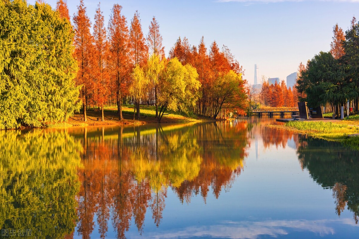 秋日上海好去处,上海秋日风景