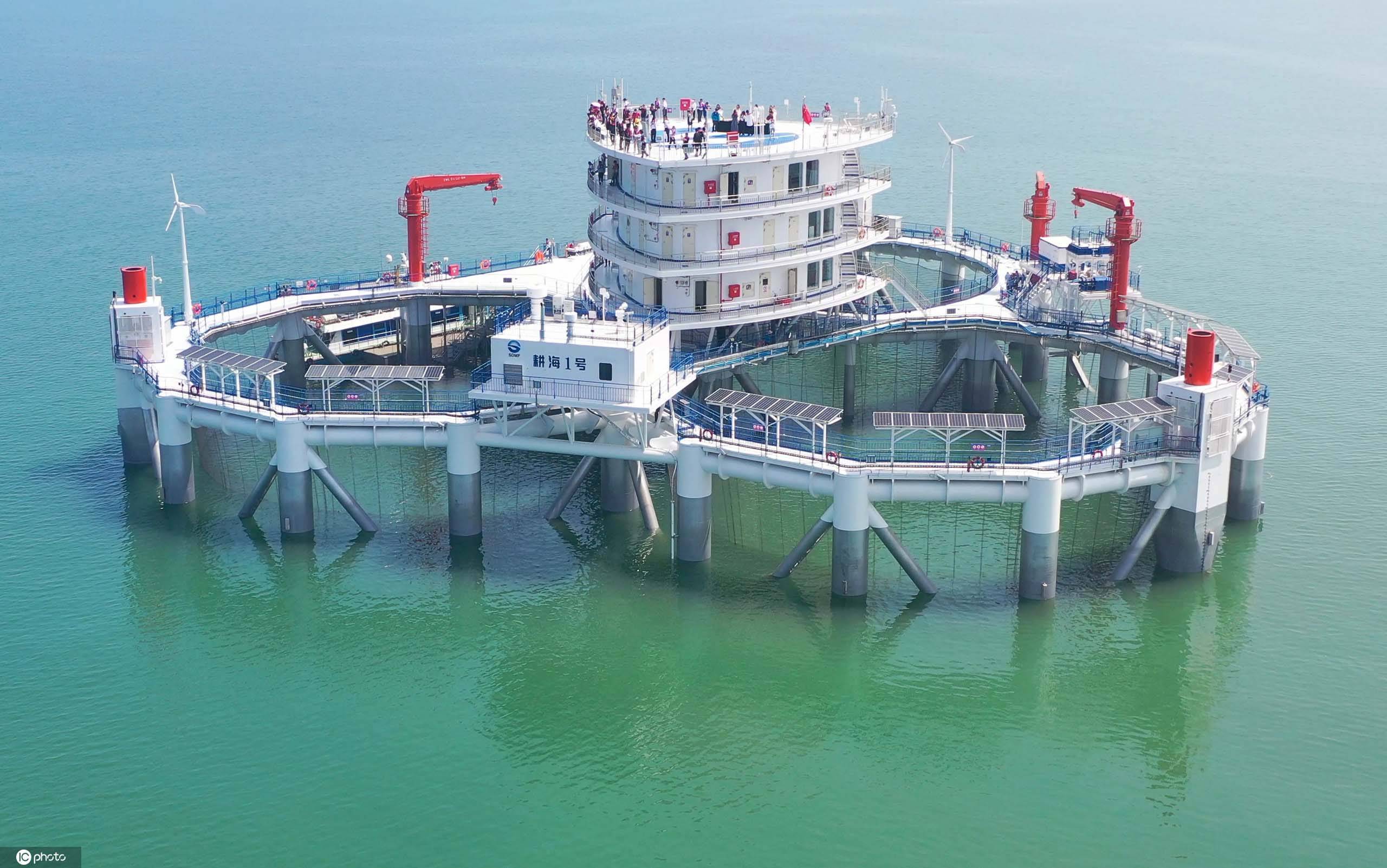 中国饲料靠进口吗,中国粮食安全靠什么