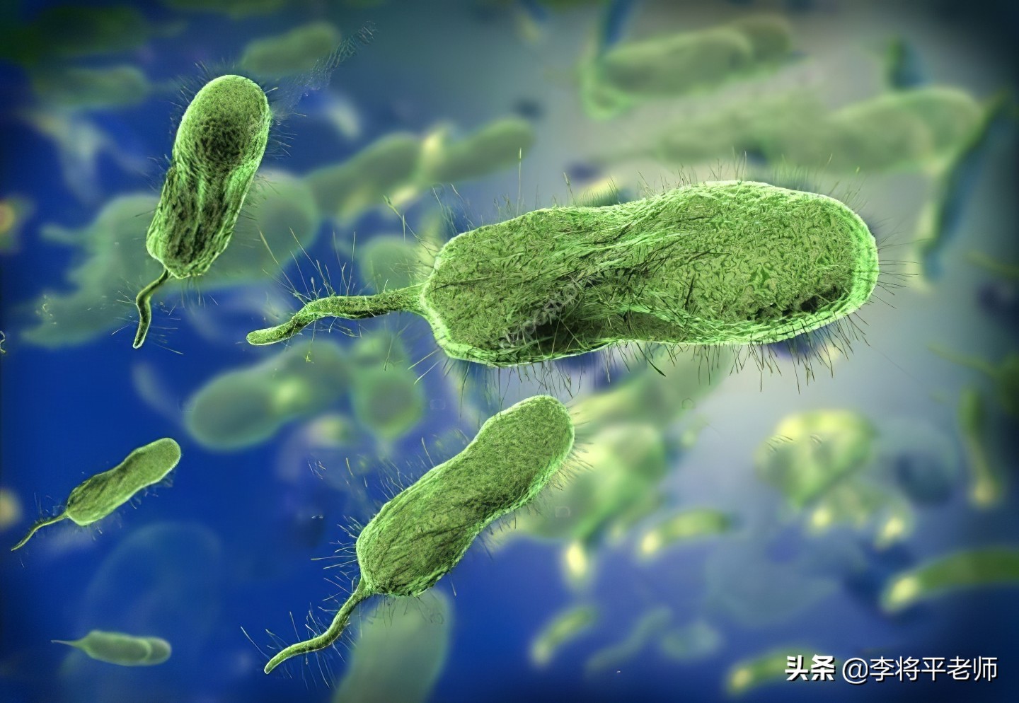 女子被河虾刺到导致截肢,被河虾扎手截肢