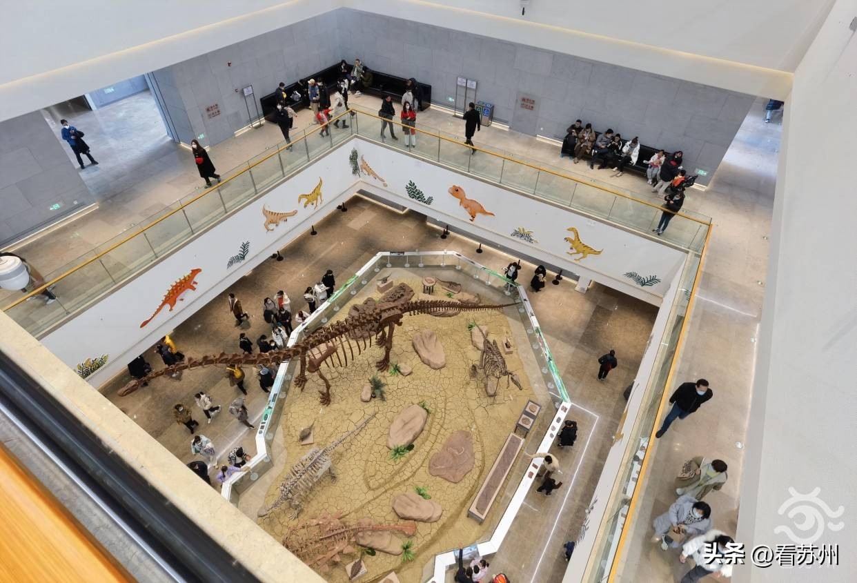 我们的节日·春节|6.9万人打卡！苏州新春大展吸引市民“博物馆里过大年”