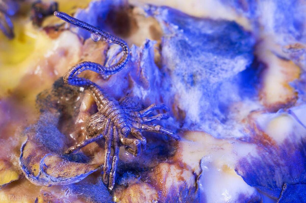 美国大片十大科幻片,十大被低估的科幻片