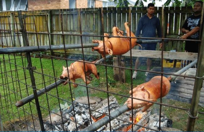 汤加是属于哪个洲,汤加王国是贫穷国家吗