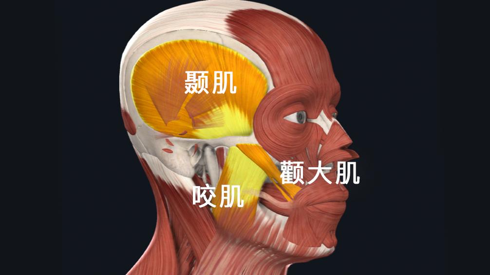 发腮和塌腮哪个更显老,发腮真的显老吗