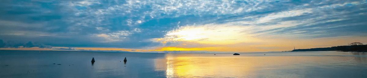 ZIP转运蛋白内部锌摄取的组氨酸突变体细胞活性自我调控机制