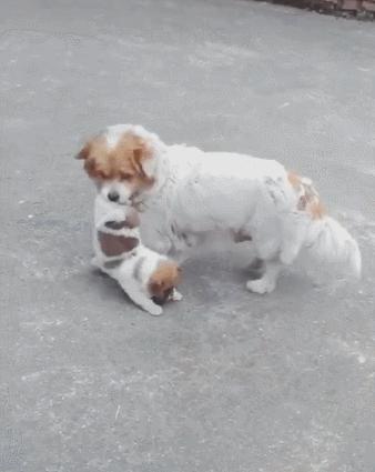 也别自作多情冬天一般朋友见面都说自己手冷真行动了还容易闹笑话