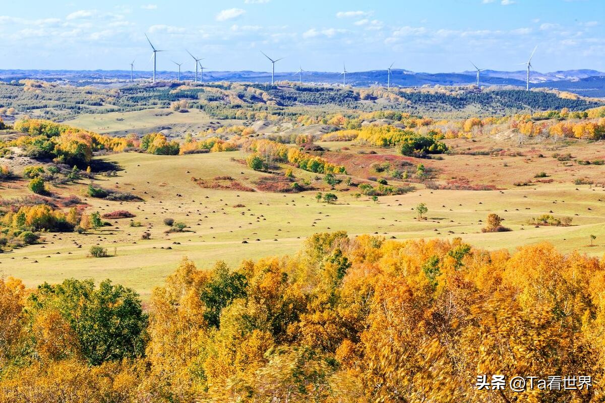 木兰围场周边玩的地方推荐,夏天木兰围场坝上攻略