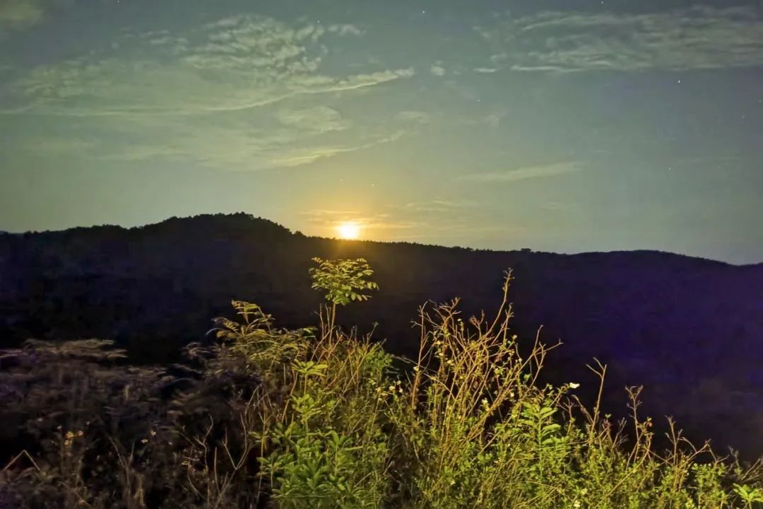 公安机关守护春节万家灯火,守护万家团圆警察文章