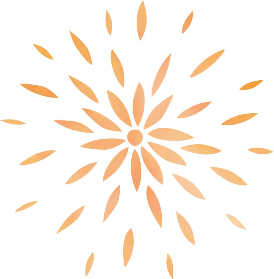 中国男篮单招,篮球单考单招状元