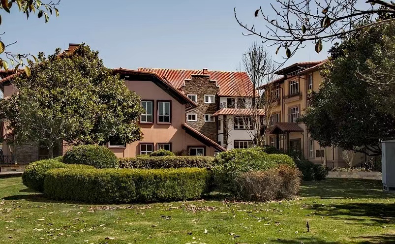 昆明旅游必去十大景点有哪些,昆明市区必玩旅游景点排名前十