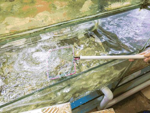 开渔期广州吃海鲜的地方,开渔了还敢吃海鲜吗