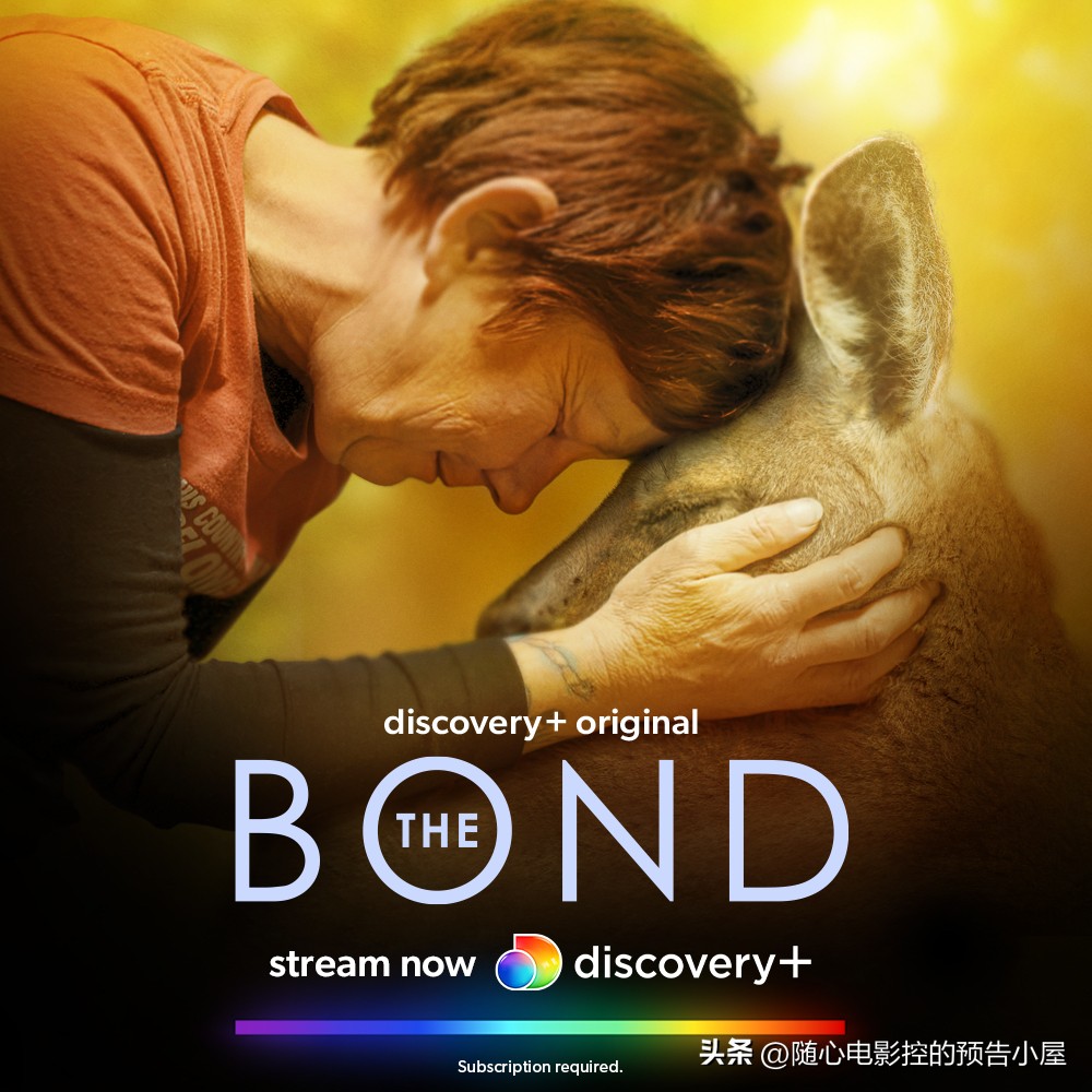 2023年5月6日,武林风2023年5月6日视频