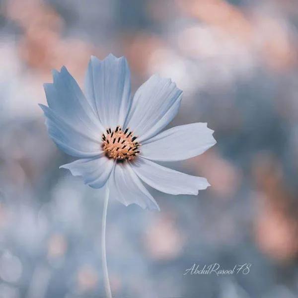 用尊重做牙签：给对方情绪的气球留个针眼