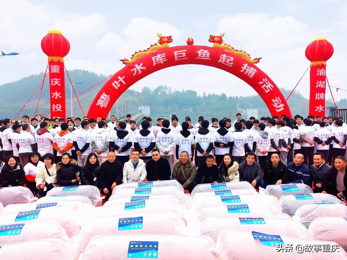 “两江渔业”巨鱼起捕拍卖背后的山城水库渔业之兴