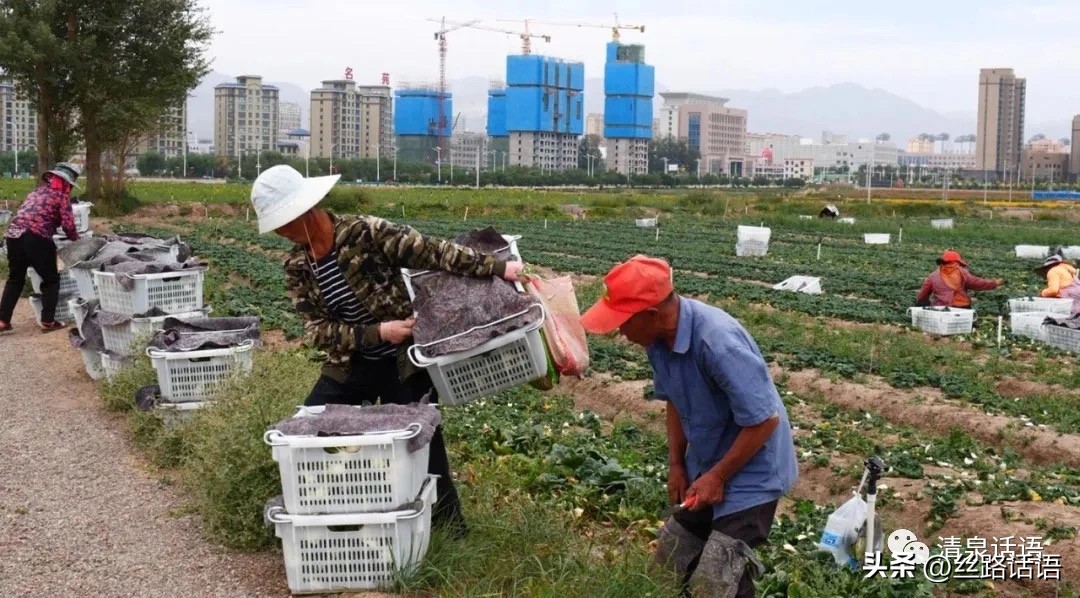 清泉镇双桥村：乡村建设美如画幸福生活踏歌来