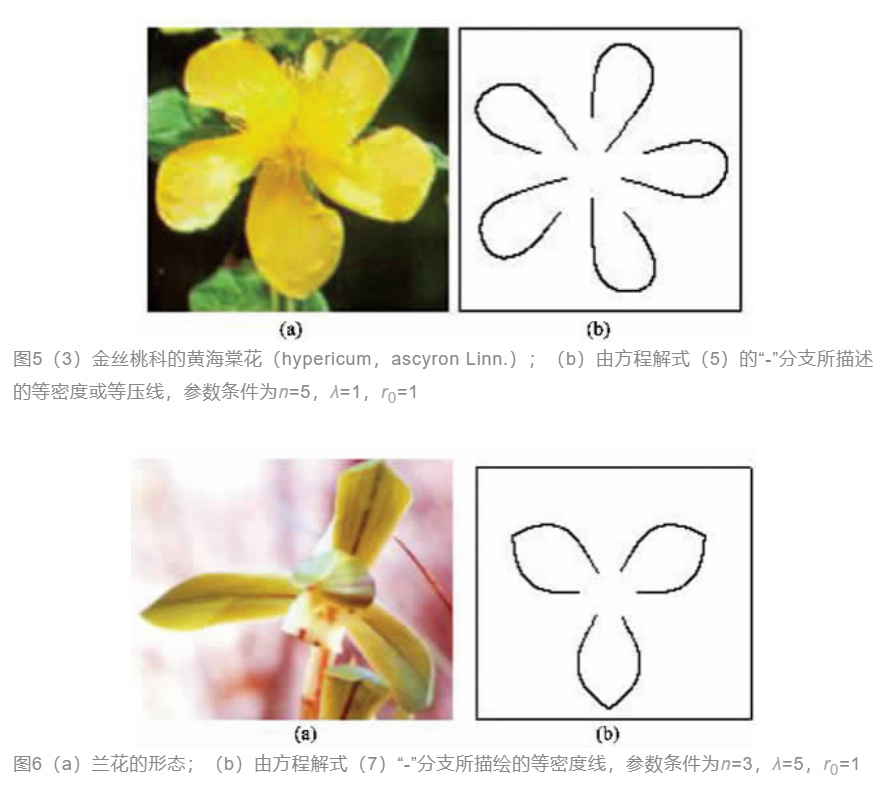 美丽是形容人还是形容物,美丽是形容什么的