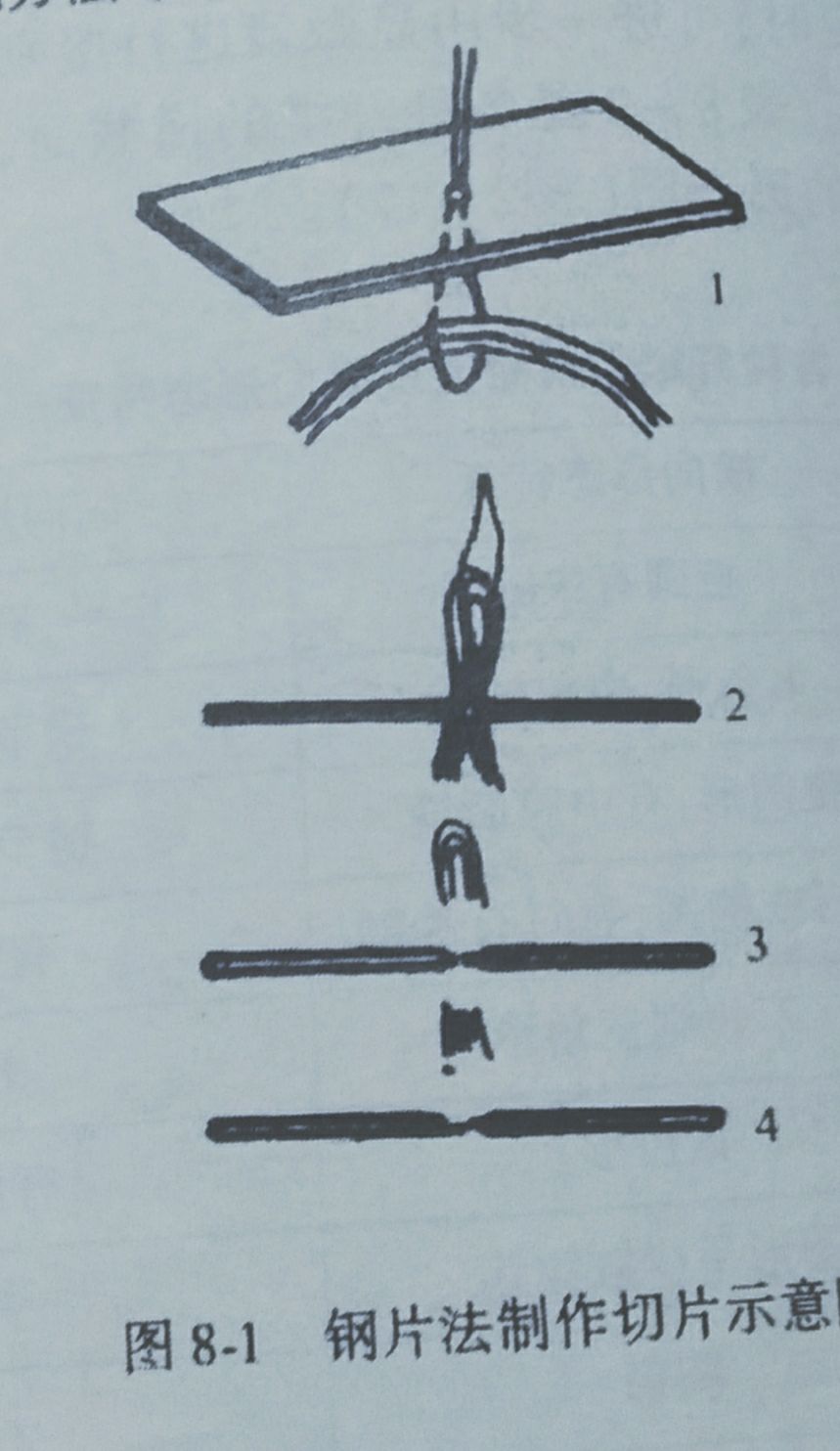 纤维原料区别,竹木纤维原料价格