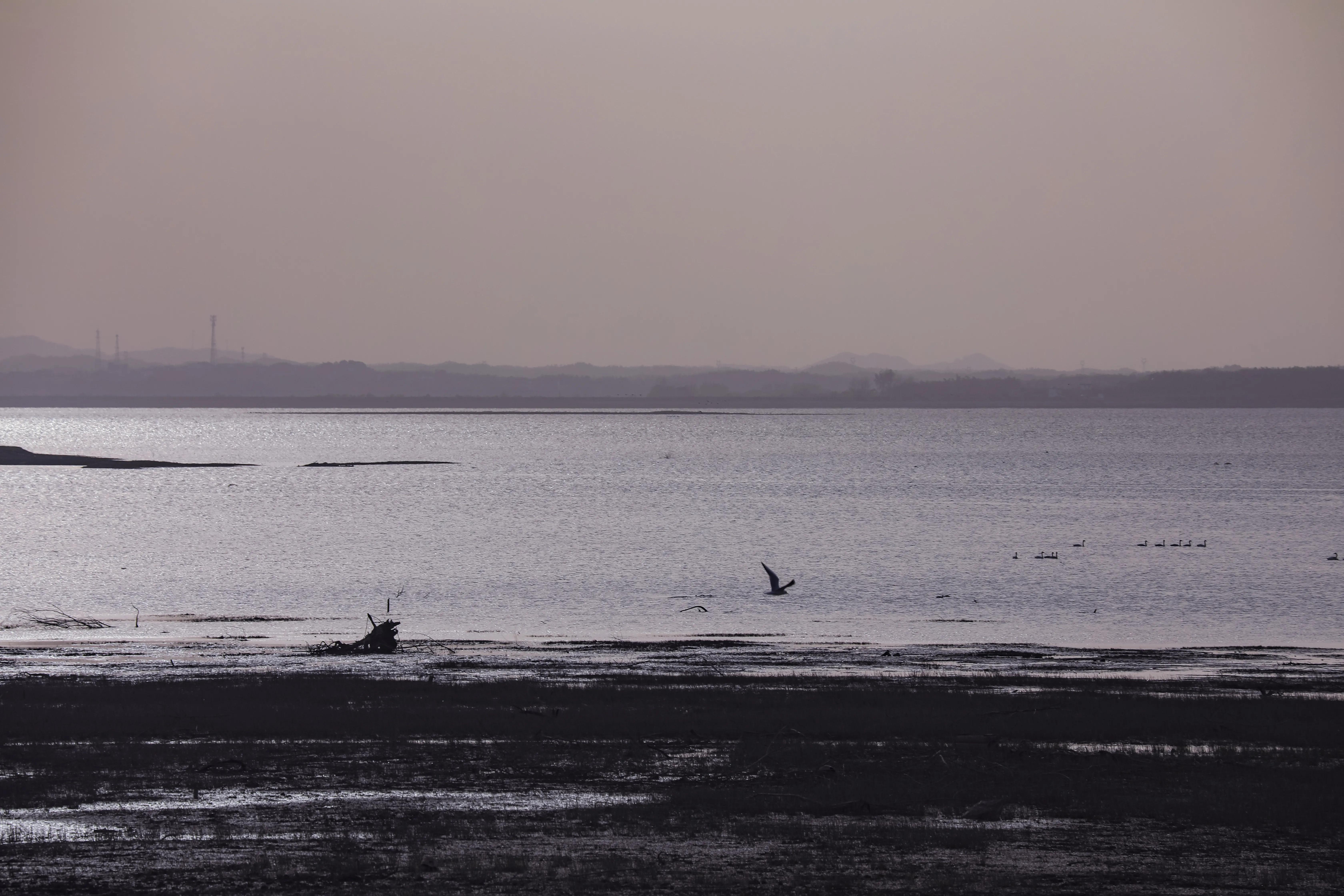 怎么样拍水流,怎么样拍水果抖音视频教程