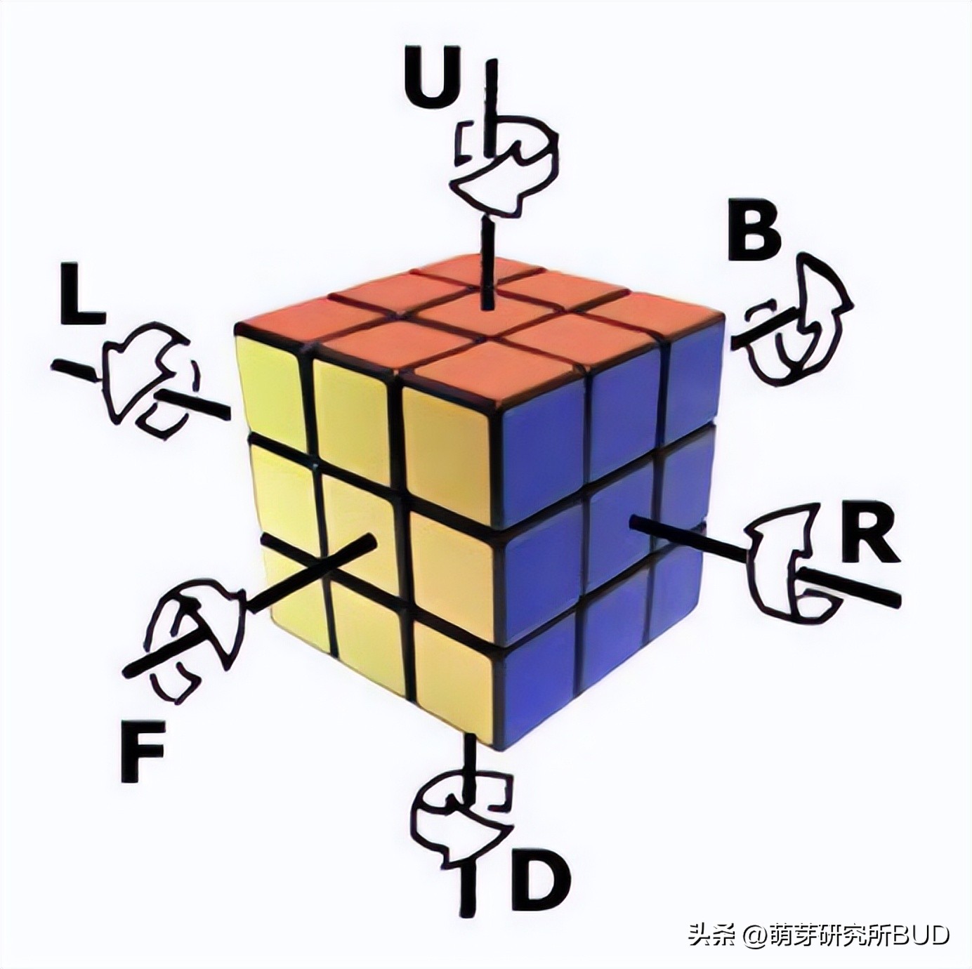 魔方万能公式口诀上左下右第三阶,15秒最快三阶魔方万能公式中文