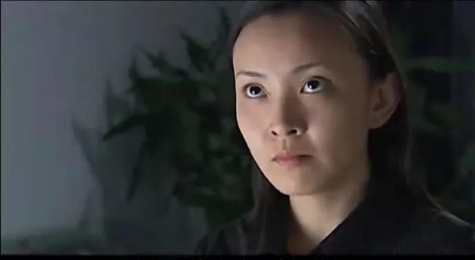 张世豪刘华强兆辉煌,征服刘华强和张世豪