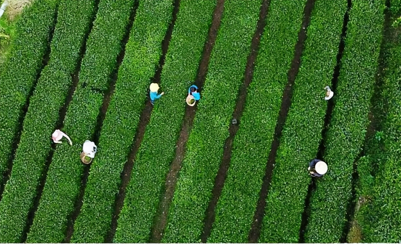 氧居田园山水一个值得你去体验的康县
