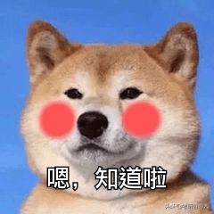 考研最后一个月感觉自己啥也不会,考研最后一个月啥也不会