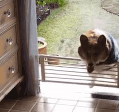 兵马俑制作过程简单用粘土,兵马俑制作过程电视剧