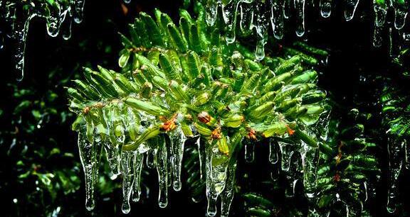 上班族真的很无奈,怎么解决上班族的烦恼