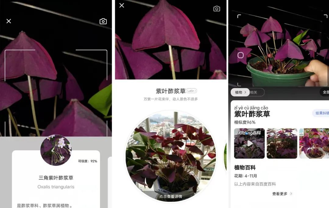 养花好物神器,花友必备神器