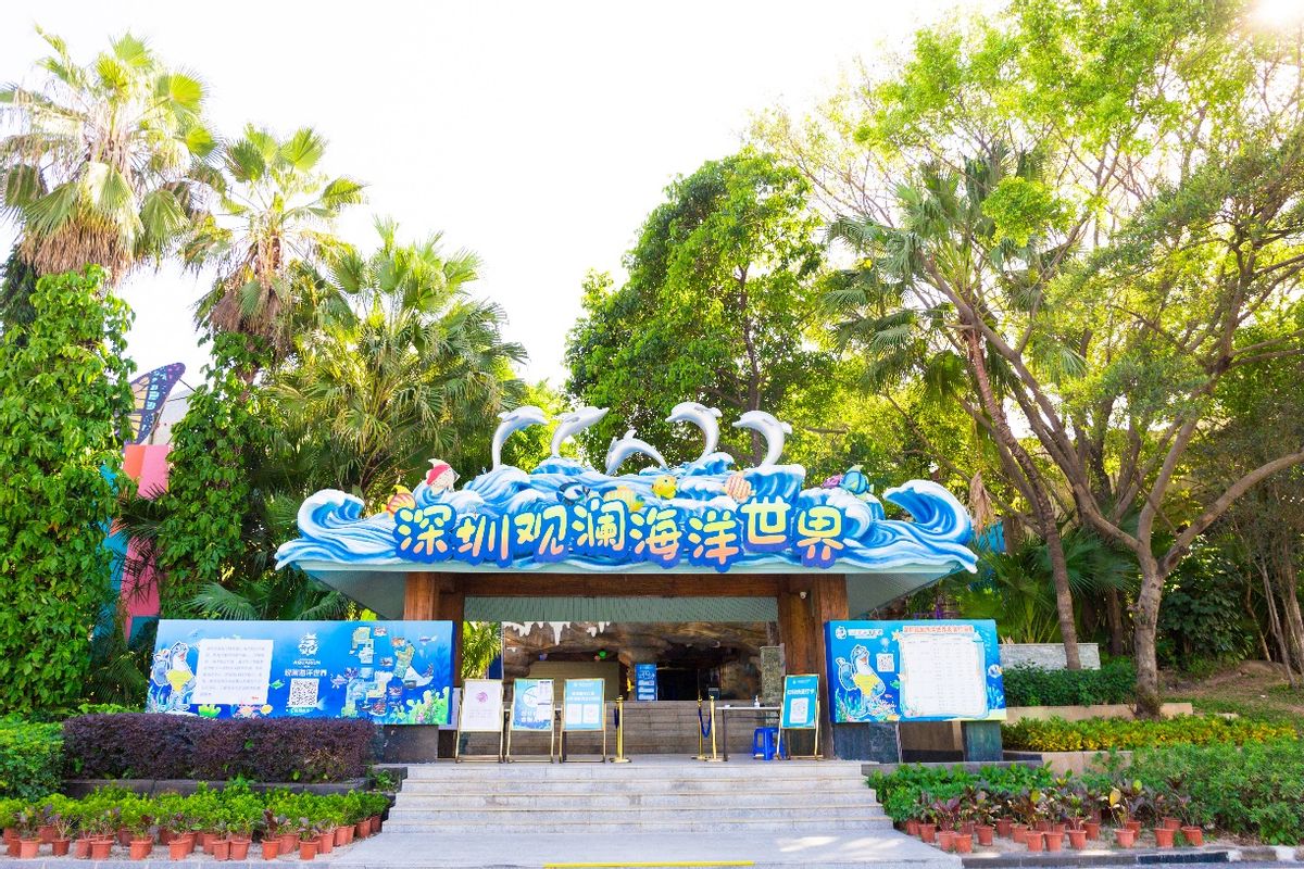 深圳适合带孩子去玩的海洋公园,深圳暑期遛娃好去处