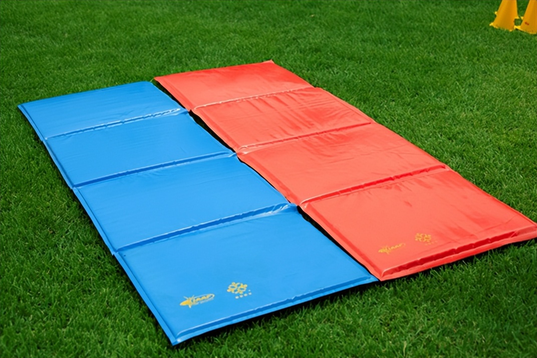 小学体育一级方程式,小学生体育项目一级方程式训练