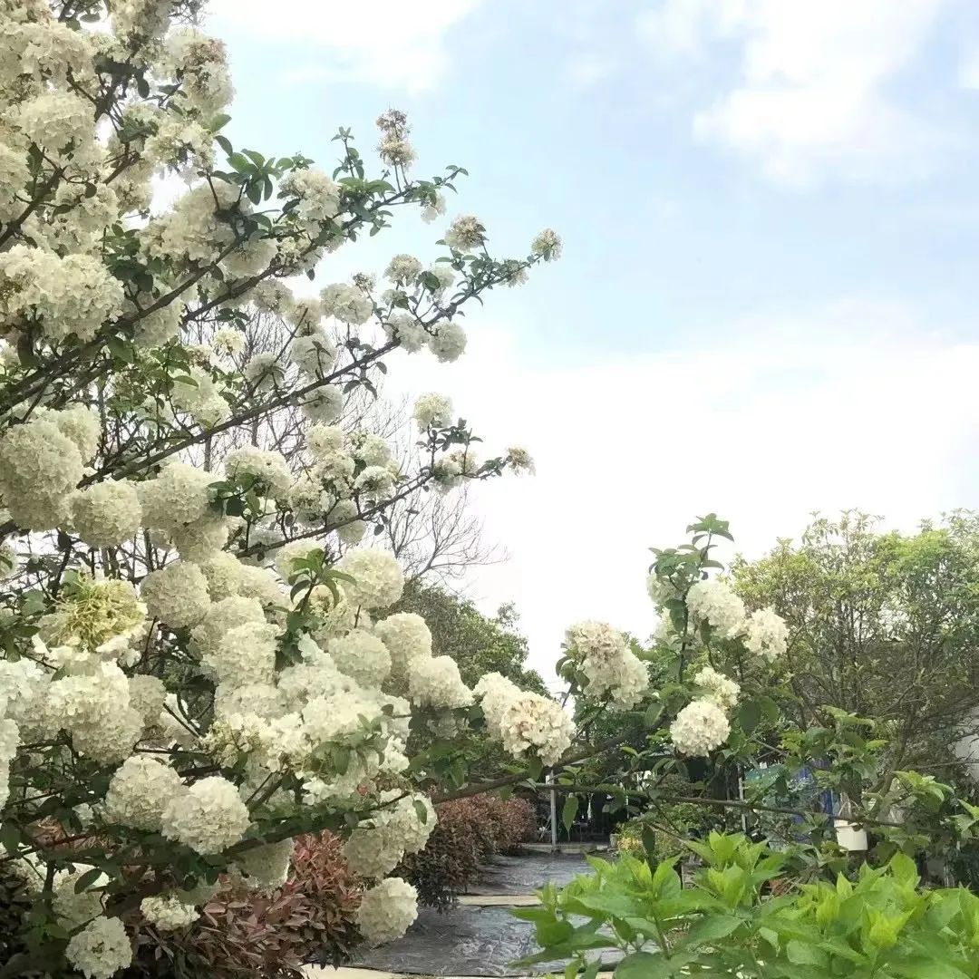 证书见证前行的每一步,荣誉证书见证前行的每一步